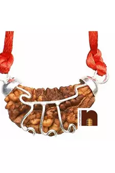 1 Mukhi | Ek Mukhi | One Face Rudraksha Bead In White Metal Pendant With Lab Certificate