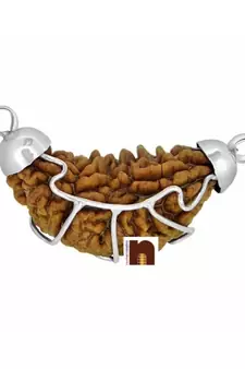 1 Mukhi | Ek Mukhi | One Face Rudraksha Bead In White Metal Pendant With Lab Certificate
