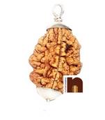 2 Mukhi Rudraksha | Two Faced Rudraksha Pendant With Lab Certificate (White Metal Pendant) (1 Pc)