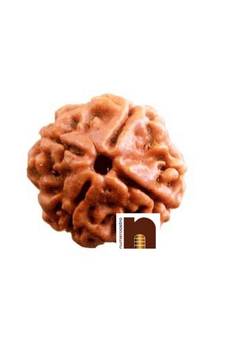 4 Mukhi Lab Certified Rudraksha Bead (Nepali Bead) (Pack of 1)