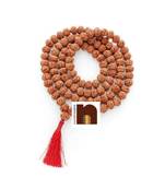 8 Mukhi | Eight Faced Rudraksha Mala (Indonesian Java Beads) with Lab Certificate (1 Pc)