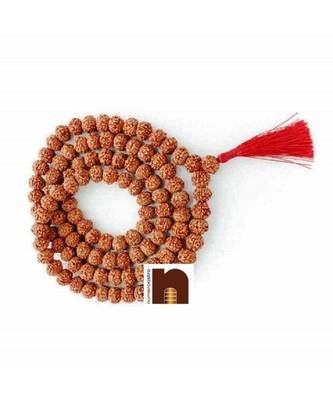 8 Mukhi | Eight Faced Rudraksha Mala (Indonesian Java Beads) with Lab Certificate (1 Pc) 2