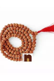 8 Mukhi | Eight Faced Rudraksha Mala (Indonesian Java Beads) with Lab Certificate (1 Pc)
