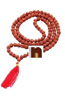 6 Mukhi | Six Faced Rudraksha Mala (Indonesian Java Beads) with Lab Certificate (1 Pc)