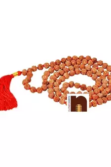 6 Mukhi | Six Faced Rudraksha Mala (Indonesian Java Beads) with Lab Certificate (1 Pc)