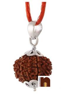 10 Mukhi Rudraksha | Ten Faced Rudraksha Pendant With Lab Certificate (Small Bead) (1 Pc)