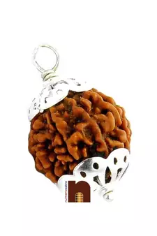 10 Mukhi Rudraksha | Ten Faced Rudraksha Pendant With Lab Certificate (Small Bead) (1 Pc)