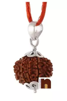 10 Mukhi Rudraksha | Ten Faced Rudraksha Pendant With Lab Certificate (Small Bead) (1 Pc)