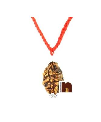 3 (Three) Mukhi Rudraksha Pendant In White Metal (1 Pc) 1