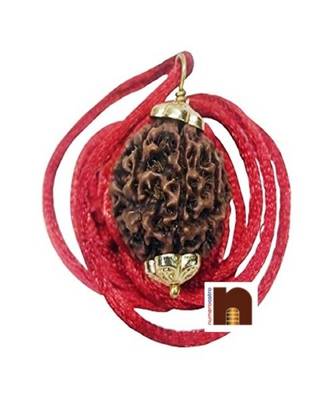 3 (Three) Mukhi Rudraksha Pendant In White Metal (1 Pc) 2