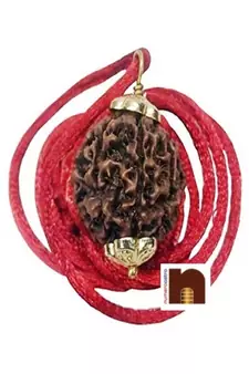 3 (Three) Mukhi Rudraksha Pendant In White Metal (1 Pc)