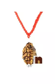 3 (Three) Mukhi Rudraksha Pendant In White Metal (1 Pc)