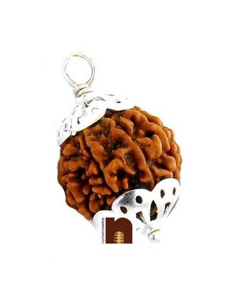 6 Mukhi Rudraksha | Six Faced Rudraksha Pendant With Lab Certificate (White Metal Pendant) (1 Pc) 1