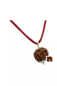 5 Mukhi Rudraksha | Five Faced Rudraksha Pendant With Lab Certificate (White Metal Pendant) (1 Pc)