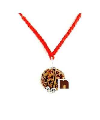 5 Mukhi Rudraksha | Five Faced Rudraksha Pendant With Lab Certificate (White Metal Pendant) (1 Pc) 3