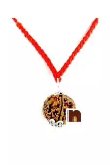 5 Mukhi Rudraksha | Five Faced Rudraksha Pendant With Lab Certificate (White Metal Pendant) (1 Pc)