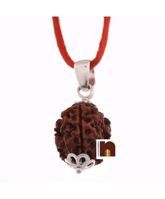 3 Mukhi Rudraksha | Three Faced Rudraksha Pendant With Lab Certificate (White Metal Pendant) (1 Pc) 1