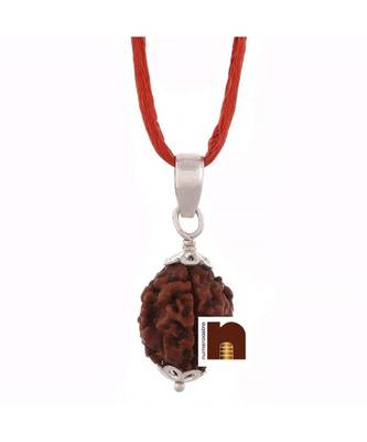 3 Mukhi Rudraksha | Three Faced Rudraksha Pendant With Lab Certificate (White Metal Pendant) (1 Pc) 2