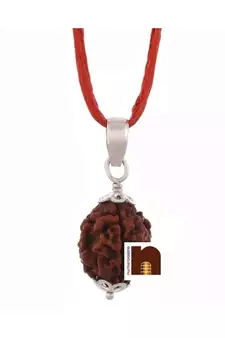 3 Mukhi Rudraksha | Three Faced Rudraksha Pendant With Lab Certificate (White Metal Pendant) (1 Pc)
