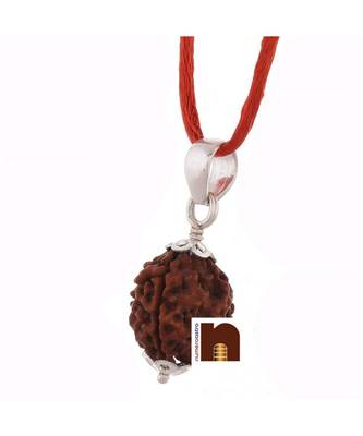 3 Mukhi Rudraksha | Three Faced Rudraksha Pendant With Lab Certificate (White Metal Pendant) (1 Pc) 3