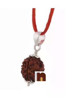 3 Mukhi Rudraksha | Three Faced Rudraksha Pendant With Lab Certificate (White Metal Pendant) (1 Pc)