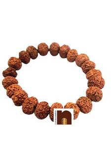 Natural & Original 11 Mukhi Indonesian Rudraksha Bracelet (Stretchable) (1 Pc)