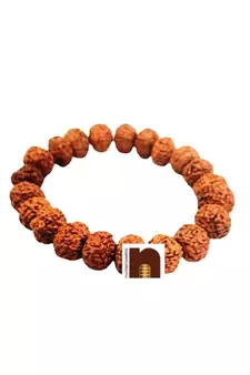 Natural & Original 11 Mukhi Indonesian Rudraksha Bracelet (Stretchable) (1 Pc)
