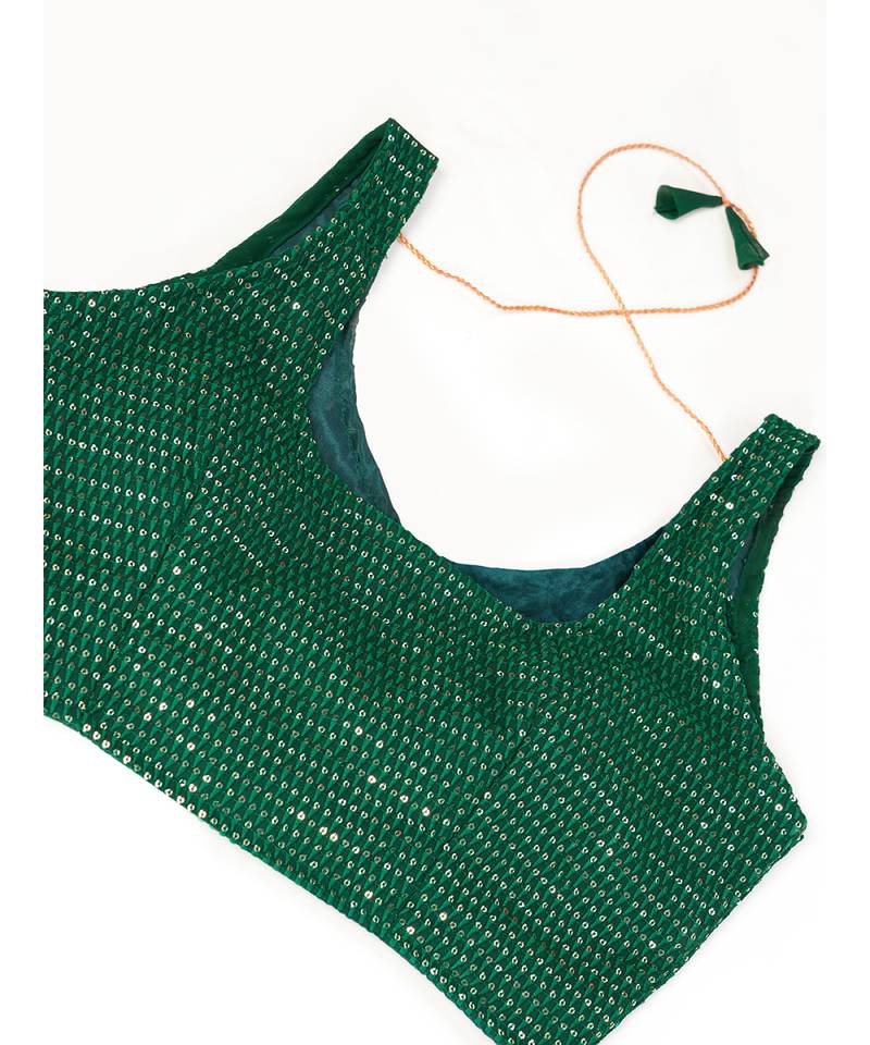 Green Embroidered semi stitched Lehenga & unstitched blouse with dupatta