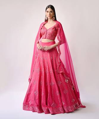 Rani Hand Embroidered Lehenga Set 2