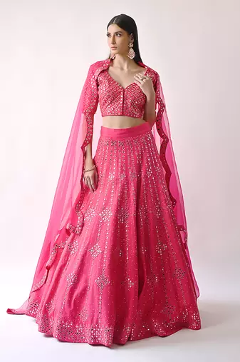 Rani Hand Embroidered Lehenga Set