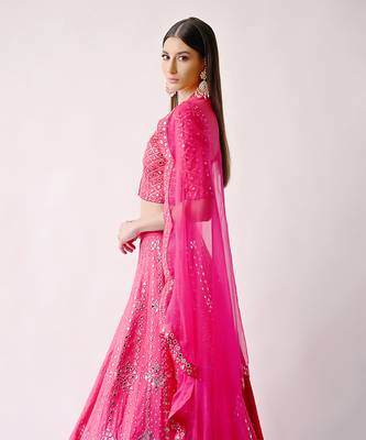 Rani Hand Embroidered Lehenga Set 4