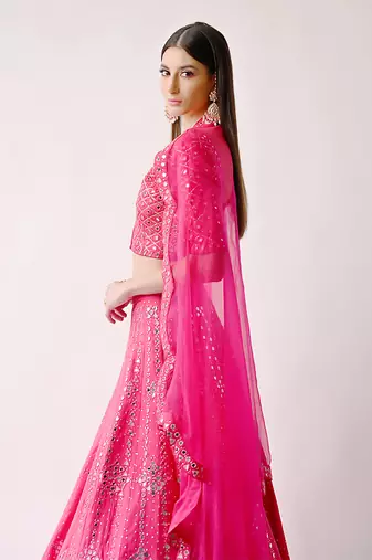 Rani Hand Embroidered Lehenga Set