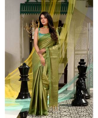 This is  Light Green Blended Silk textured handwoven saree  from Charukriti 2