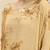 Deep Beige Printed Floral Design Stone Work Kaftan