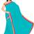 Light turquoise embroidered chiffon saree with blouse