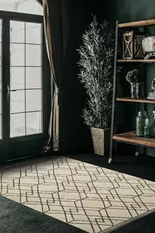 Ivory Woolcotton Vista 4x6 Feet  Hand-Tufted by Saraswati Global