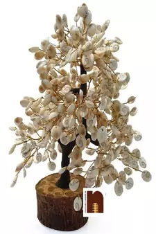 Gomti Chakra Tree ( Big ) (500 Beads) (1 Pc)