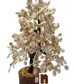 Gomti Chakra Tree ( Big ) (500 Beads) (1 Pc)