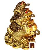 Feng Shui Triple Frog Family with Coins (9.5 Cms) (1 Pc)