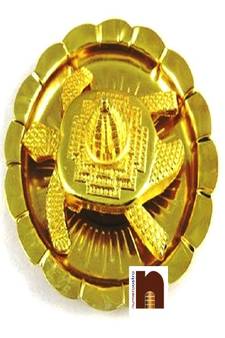 Ashtadhatu Pyramid Shri Yantra Turtle/Tortoise In Plate 3 cm (Brass Gold)