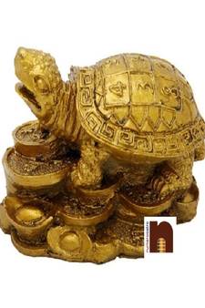 Feng Shui Turtle | Tortoise On Coins (Polyresin) (7 Cms) (1 Pc)