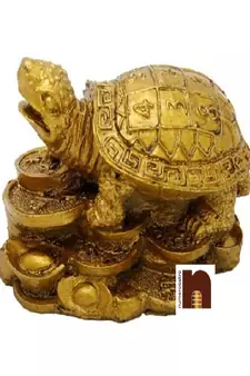 Feng Shui Turtle | Tortoise On Coins (Polyresin) (7 Cms) (1 Pc)