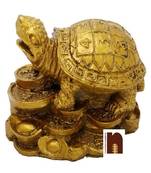 Feng Shui Turtle | Tortoise On Coins (Polyresin) (7 Cms) (1 Pc)