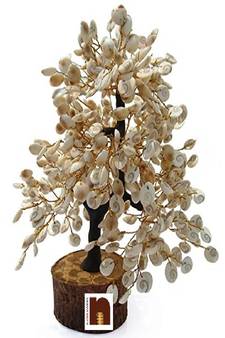 Gomti Chakra Tree (300 Beads Approx) (1 Pc)