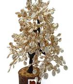 Gomti Chakra Tree (300 Beads Approx) (1 Pc)