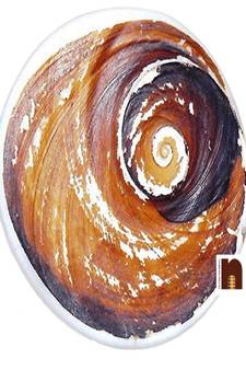 Gomti Chakra (Big Size) (4 Cms Approx) (1 Pc)