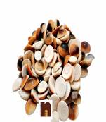  Original Gomti Chakra (Small) (21 Pcs Set)