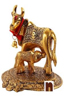  Calf Idol In White Metal With Golden Finish (8.5 Cms) (1 Pc)