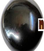 Shaligram Shivling (Big)  (8.5 cm Approx) (1 Pc)