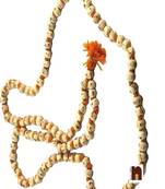  Wearing (108+1) Beads